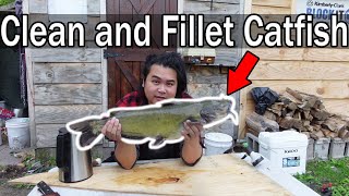 Cara Membersihkan dan Memotong Ikan Lele screenshot 2