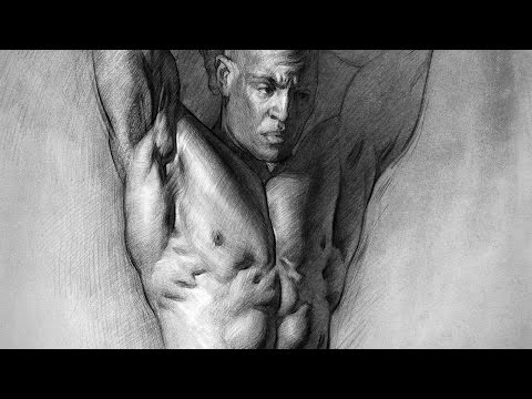 How to Draw and Shade the Human Torso