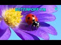 КОТЛЯРОFF FM (30 .08. 2021)  Суперские  сенсации. Светлана Кирилюк.