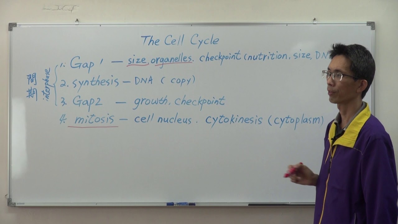 Biology 5.1 The Cell Cycle - YouTube