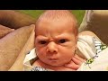 Angry Babies that are so Cute and Funny You will watch this video many times