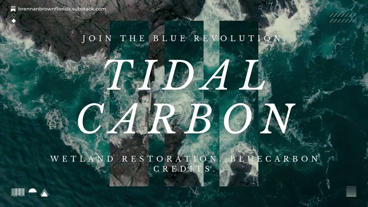 Why Blue Carbon Beats Green: Brennan Brown on the Future of High-Integrity Carbon Offsets