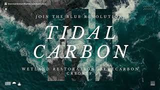 Why Blue Carbon Beats Green: Brennan Brown on the Future of High-Integrity Carbon Offsets