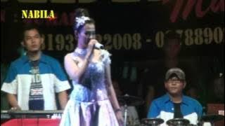 Bisikan Kasih - Ani Anjani - Nabila Musik