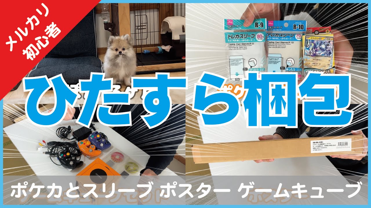 U*様 ポケモンカード 整理品 ファイルごと発送 ポケモンカード 整理品