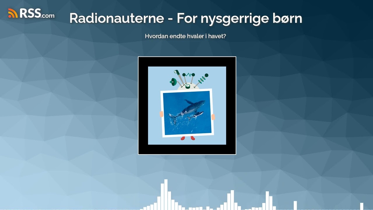 Hvordan endte hvaler i havet?