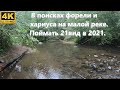 В поисках форели и хариуса на малой реке. Поймать 21вид в 2021.