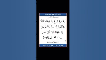 سورة النبا - سورة 78 - اية (39-38)