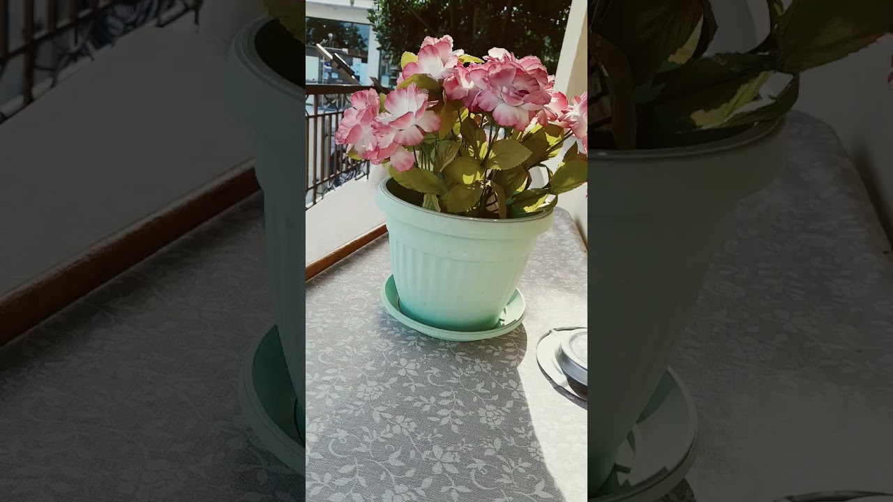 2 Αυγούστου 2024