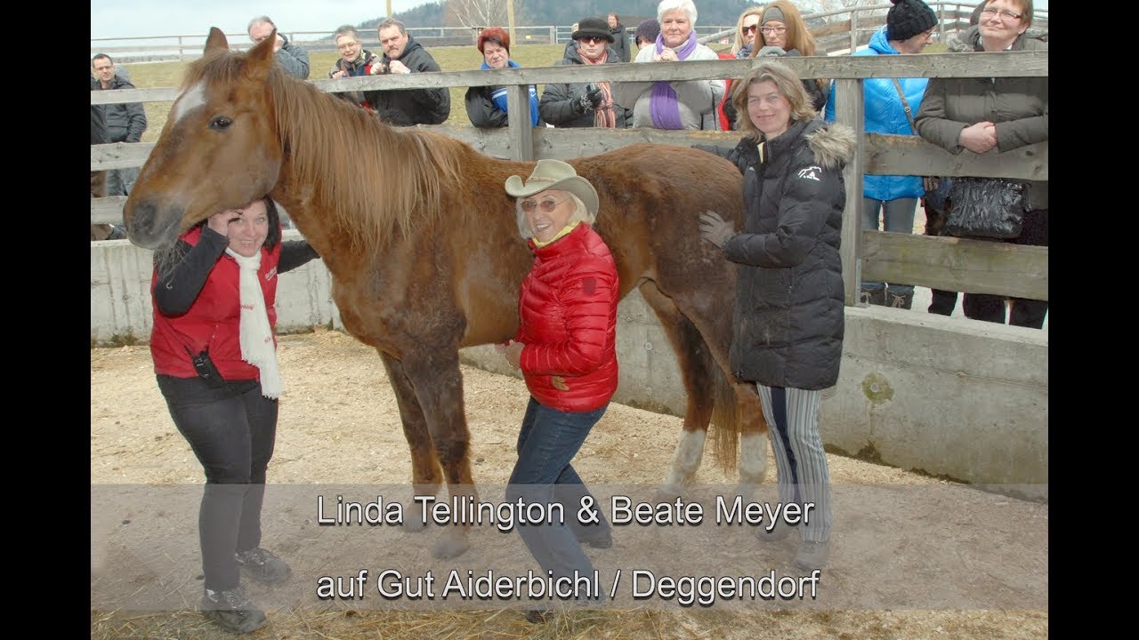 LINDA TELLINGTON-JONES  & Beate Meyer auf Gut Aiderbichl/Deggendorf
