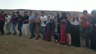 Hozan edip /Ağrı diyadin'de mehmet & hülya'ya mutluluklar dileriz...