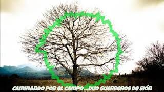 Video thumbnail of "Caminando por el campo .Dúo Guerreros de Sión"
