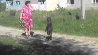 Контакт с пришельцами НЛО в деревне Уникальные редкие кадры Прикол с детьми Контакт с пришельцами НЛО в деревне Уникальные редкие кадры Прикол с детьми