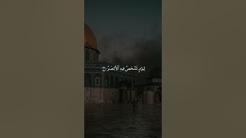 #قران_كريم #قرآن #تلاوة_خاشعة #تلاوة #تلاوات #سورة #المنشاوي