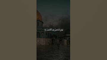 #قران_كريم #قرآن #تلاوة_خاشعة #تلاوة #تلاوات #سورة #المنشاوي