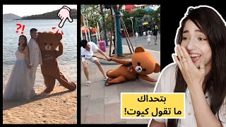 خدلك جرعة ضحك مع أشهر مقالب الدبدوب الكوري| جننهم هالكيوت