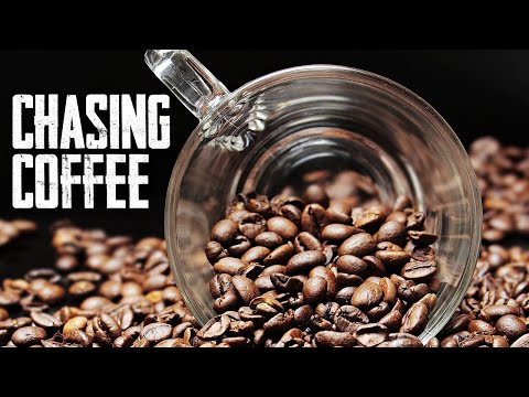 100 Distinctive Coffees | Kenya - Chasing Coffee
