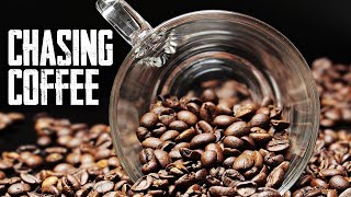 100 Distinctive Coffees | Kenya - Chasing Coffee
