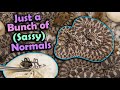 Sassy Baby Bullsnakes Hatching!
