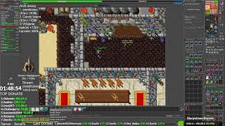 Royal Paladin: My Hotkeys and Settings! Beginner's Guide #tibia
