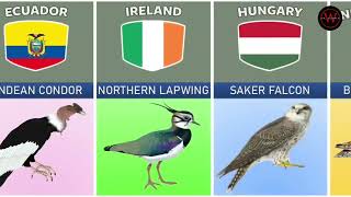 National Birds From Different Countries World Data Info