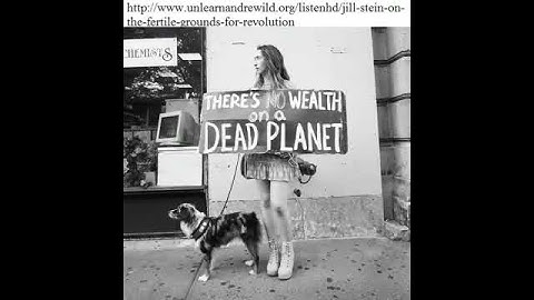 Vote Jill Stein for President