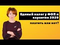 Единый налог у ФОП и карантин 2020. Платить или нет?