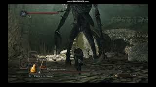 Последний гигант без урона за 2 попытки/The last giant without damage in 2 attempts. Dark Souls 2