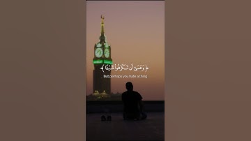 اية من سورة البقرة || المنشد والقارئ بشار سراج