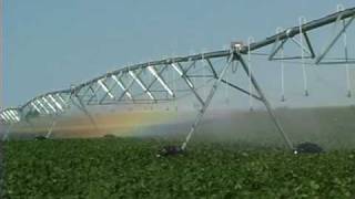 Mechanized Irrigation:  The Reinke Difference