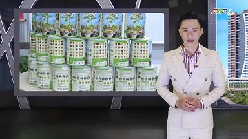 HTV7 nói gì về 25 Green Nutri - Sữa Hạt Ngũ Cốc siêu dinh dưỡng