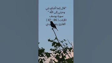 قال إنما أشكو بثي وحزني إلى الله  سورة يوسف الآيات  86 -  87   القارئ رعد الكردي   #القرآن_الكريم