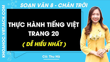 Soạn bài Thực hành tiếng Việt trang 20 | Ngữ văn 8 - Chân trời sáng tạo (DỄ HIỂU NHẤT)