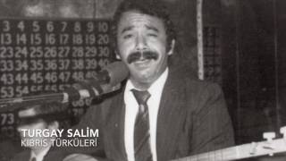 Turgay Salim - Hanaylar Resimi