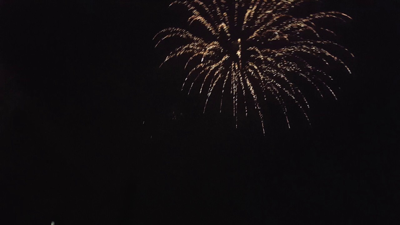 Jungle Love at the Conshohocken Fireworks YouTube