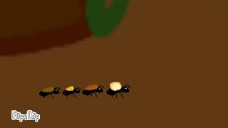 Ant (walking) animation reference