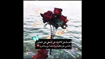 طمئنينه لقلبك❤️حالات واتس اب قران//آيات قرآنيه قصيره//ستوريات قران انستاخواطر دينيه💗#ايات قران قصيره