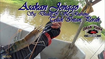 Asakan Jenggo Sg. Dedap @ Sg. Rubana, Teluk Intan | Ep 111 #shrimpfishing #mancingudanggalah