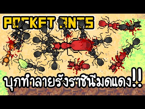 Pocket Ants #3 - บุกทำลายรังราชินีมดแดง!! [ เกมส์มือถือ ]