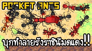 Pocket Ants #3 - บุกทำลายรังราชินีมดแดง!! [ เกมส์มือถือ ] screenshot 1