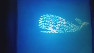 Celebrity The seas with Nemo and friends moonfish marlin Dory 2009 Profile