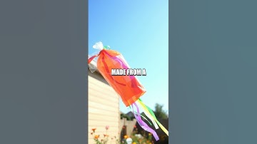 DIY Weather Station Experiment