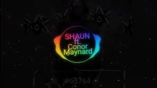 SHAUN ft. Conor Maynard - Way Back Home (Jayhertz Remix)