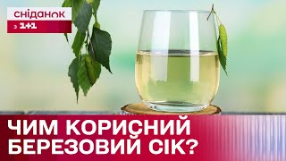 картинка: Чи шкодить деревам збирання березового соку і чим корисний цей напій?