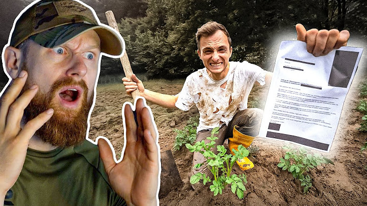 ANZEIGE! - DAS ENDE schon nach Folge 3?! | Fritz Meinecke reagiert auf The Real Life Guys