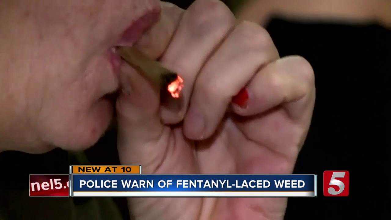 Police Warn Of Fentanyl Laced Marijuana In Tennessee Youtube Police Warn Of Fentanyl Laced Marijuana In Tennessee Youtube