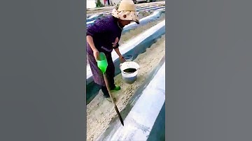 The process of fertilizing vegetables = a good method can do more with less