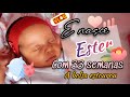 ESTER NASCEU COM 33 SEMANAS 💖🙏 A BOLSA ROMPEU / INTERNAÇÃO E PARTO / ROTINA DA VIDA REAL