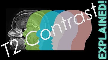 MRI T2 Contrast EXPLAINED | MRI Physics Course Lecture 5