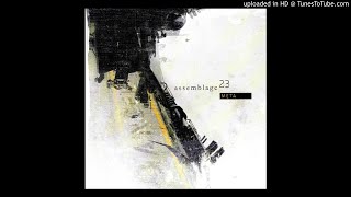 Assemblage 23 - Old